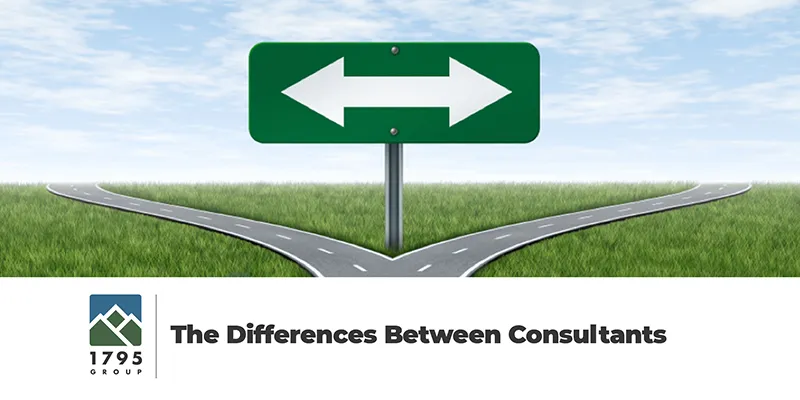 The Differences Between Consultants cover