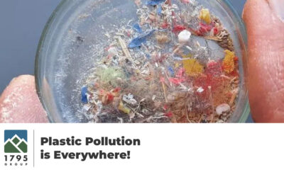 Plastic Pollution is Everywhere!